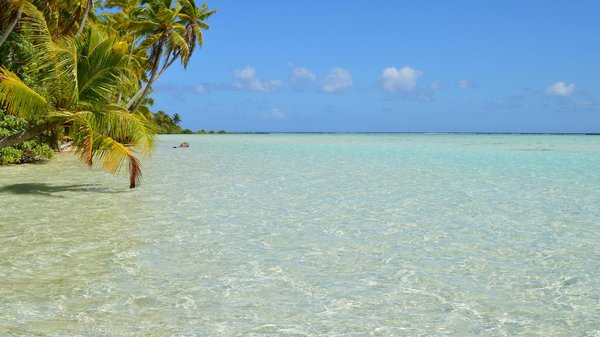 Découvrez la Pêche au Cœur des Gorges du Verdon : Régulations Essentielles et Meilleurs Lieux