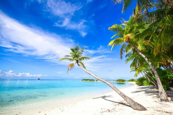 Aventures Maritimes : Une Famille Explore l'Alaska en Croisière